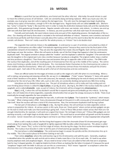 23: mitosis - Ellen McHenry