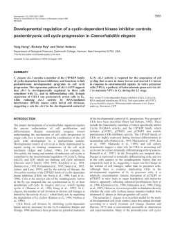Developmental regulation of a cyclin