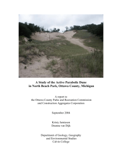 A Study of the Active Parabolic Dune in North