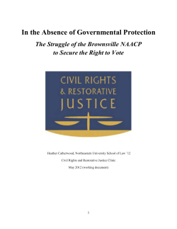 The Struggle of the Brownsville NAACP to