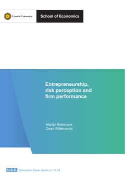 Entrepreneurship, risk perception and firm performance