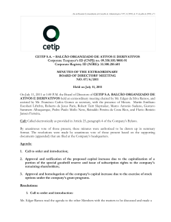 Minutes of Board of Directors Meetings