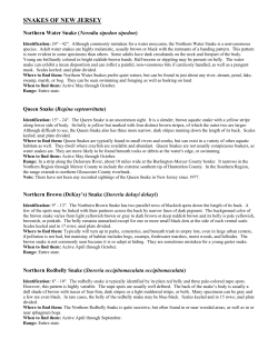 snakes of new jersey