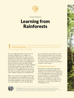 learning from rainforests - Centre for Liveable Cities