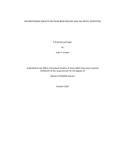 ANTHROPOGENIC IMPACTS ON POLAR BEAR