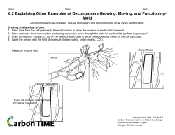 6.2 Explaining Other Examples of Decomposers Growing