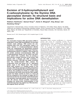 Excision of 5-hydroxymethyluracil and 5