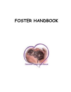 foster handbook - Vancouver Orphan Kitten Rescue Association