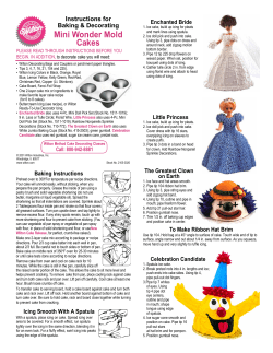 Mini Wonder Mold Pan 2105-3020