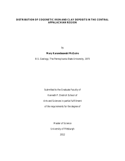 DISTRIBUTION OF COGENETIC IRON AND CLAY DEPOSITS IN