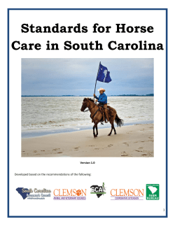 Standards for Horse Care in South Carolina