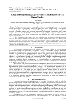 Effect of Sympathetic ganglionectomy on the Pineal Gland in