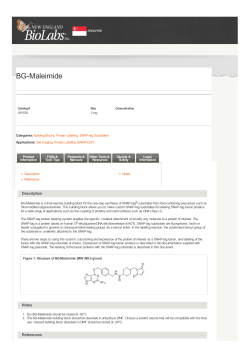 BG-Maleimide