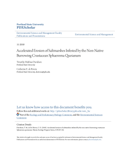 Accelerated Erosion of Saltmarshes Infested by the