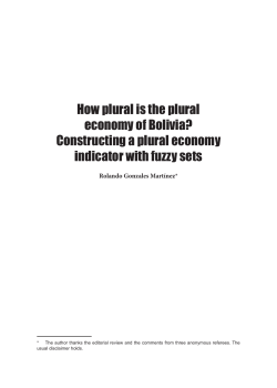 How plural is the plural economy of Bolivia?