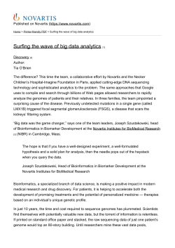 Surfing the wave of big data analytics