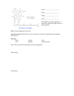Name Name Name Name Chlorophyll is the green pigment in plants