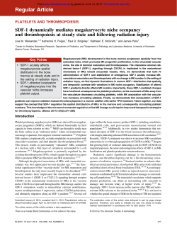 SDF-1 dynamically mediates megakaryocyte niche occupancy and