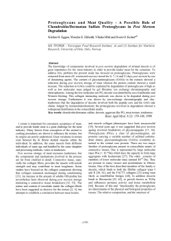 Proteoglycans and Meat Quality - A Possible Role of Chondroitin
