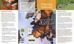 Protecting Monarchs - Pollinator Partnership