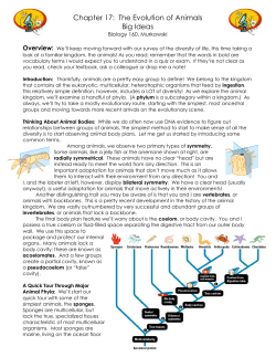 Chapter 17: The Evolution of Animals Big Ideas