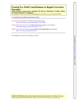 Saccades Frontal Eye Field Contributions to Rapid Corrective