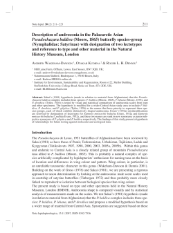 Description of androconia in the Palaearctic Asian