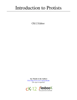 Introduction to Protists - CK