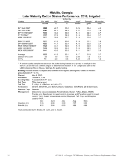 Later Maturity Cotton Strains