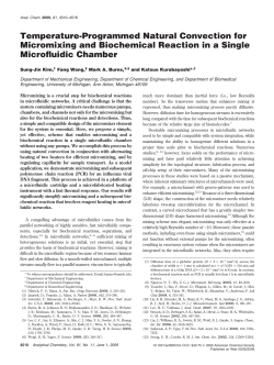 Temperature-Programmed Natural Convection for Micromixing and