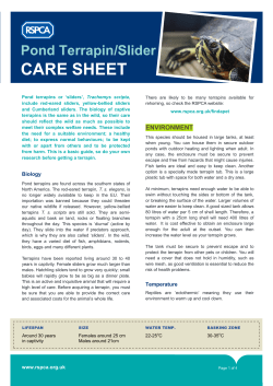 Terrapin care sheet