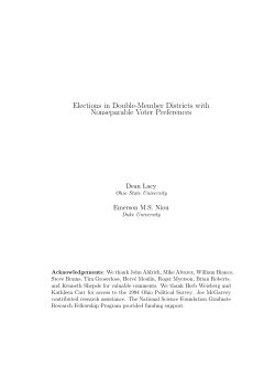 Elections in Double-Member Districts with