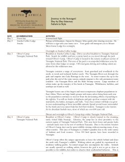 Journey to the Serengeti Day by Day Itinerary