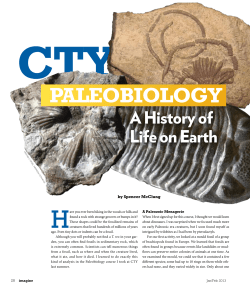 CTY`s Paleobiology