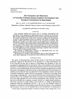 The Formation and Behaviour of Vacuoles (Vesicles)