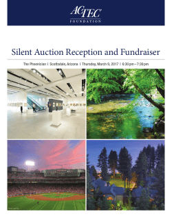 2017 ACTEC Foundation Silent Auction