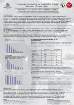 Foot problems, stereotypies and substrate type in Asian elephants: a