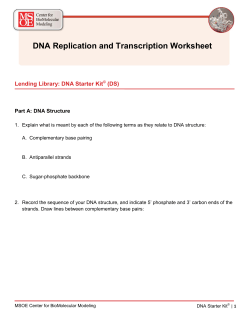DNA Replication and Transcription Worksheet