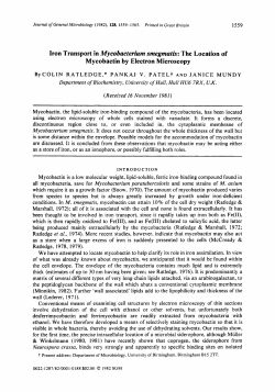 Iron Transport in Mycobacterium smegmatis: The