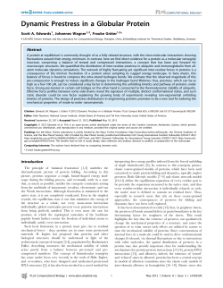 Dynamic Prestress in a Globular Protein
