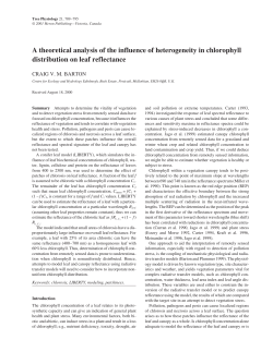 A theoretical analysis of the influence of heterogeneity in chlorophyll