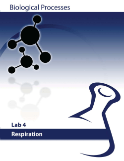 Lab # 4: Respiration