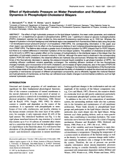 Effect of Hydrostatic Pressure on Water Penetration and Rotational