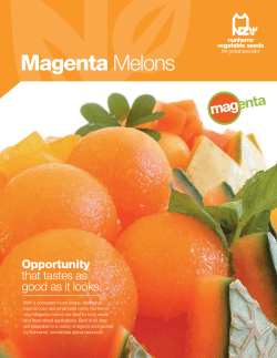 Magenta Melons