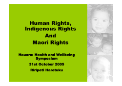Human RIghts, Indigenous RIghts and Maori Rights