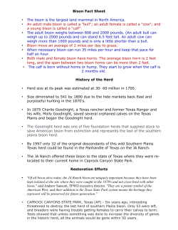 Bison Fact Sheet &bull; The bison is the largest land mammal in North