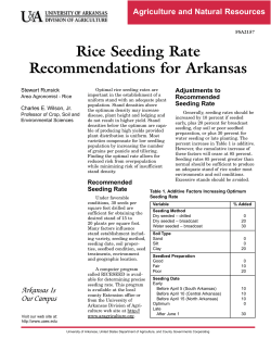 Rice Seeding Rate Recommendations for Arkansas