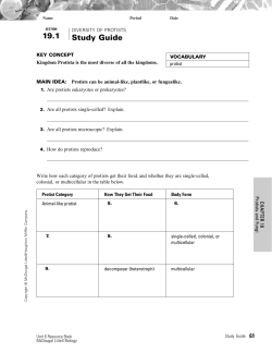 Chapter 19 Study Guide