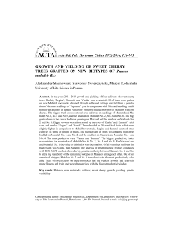 GROWTH AND YIELDING OF SWEET CHERRY TREES GRAFTED