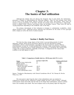Chapter 3: The basics of fuel utilization